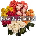 ROSES By Quantity
