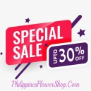 send special sale up to 30% off to philippines