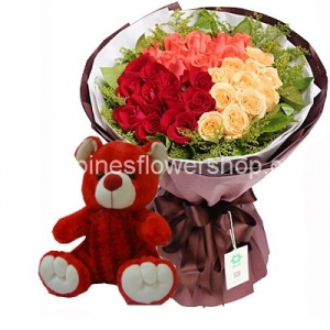 send 24 mixed roses with teddy bear to philippines