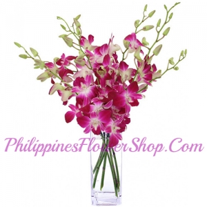 send one dozen purple orchids in vase to philippines