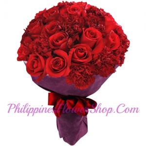 send thanks 12 roses with carnations to philippines