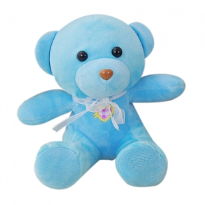 Light Blue Small Teddy Bear to Philippines