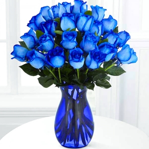 send 24 blue ecuadorian roses in vase to philippines