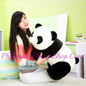 send cute medium size baby panda bear to philippines