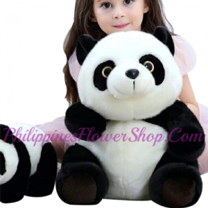 send medium size panda stuffed toy to philippines