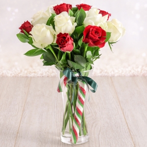 send xmas 12 red and white roses in glass vase to philippine