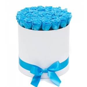 2 Dozen Blue Color Roses in a Box