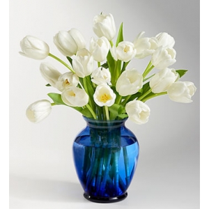 one and half dozen tulips in a vase to philippines