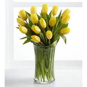 12 yellow tulips to philippines
