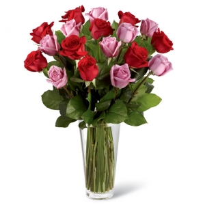 24 Hot Red & Pink  Roses Send To Philippines