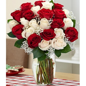 24 Red & White Roses in vase