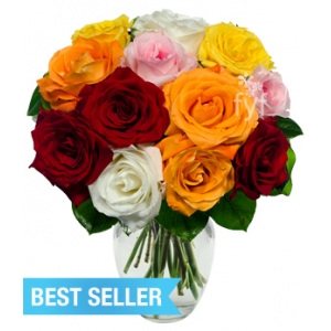 18 Rainbow Roses Send To Philippines