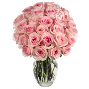 24 Light pink roses Send To Philippines