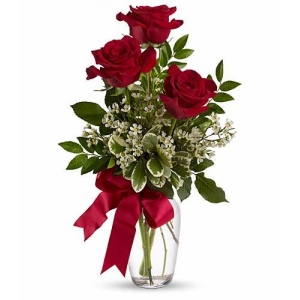 Send online order 3 red rose vase to philippines