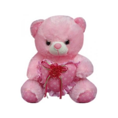 Regular Size Teddy Bear with Heart Pillow Send to Philippines