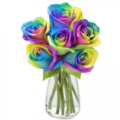 send half dozen rainbow roses in glass vase to philippines
