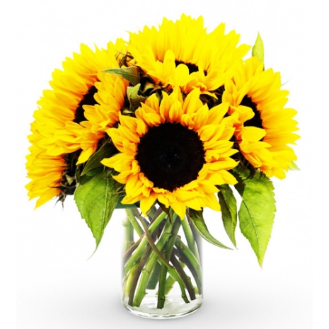 6 Pieces Seasonal Sunflower Vase