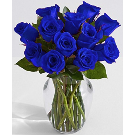 12 classic blue roses to philippines