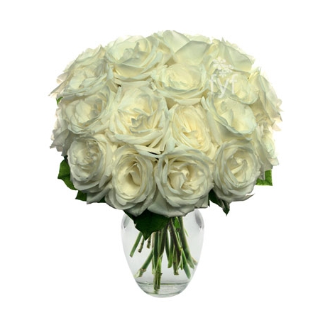 18 White Roses Send To Philippines