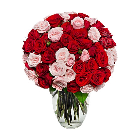 100 Blooms of Pink and Red Roses Send To Philippines