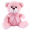 medium size pink color teddy bear to philippines