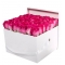 50 Pcs. Pink Roses in Square Shaped Box