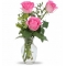 3 holand pink roses in a vase to philippines